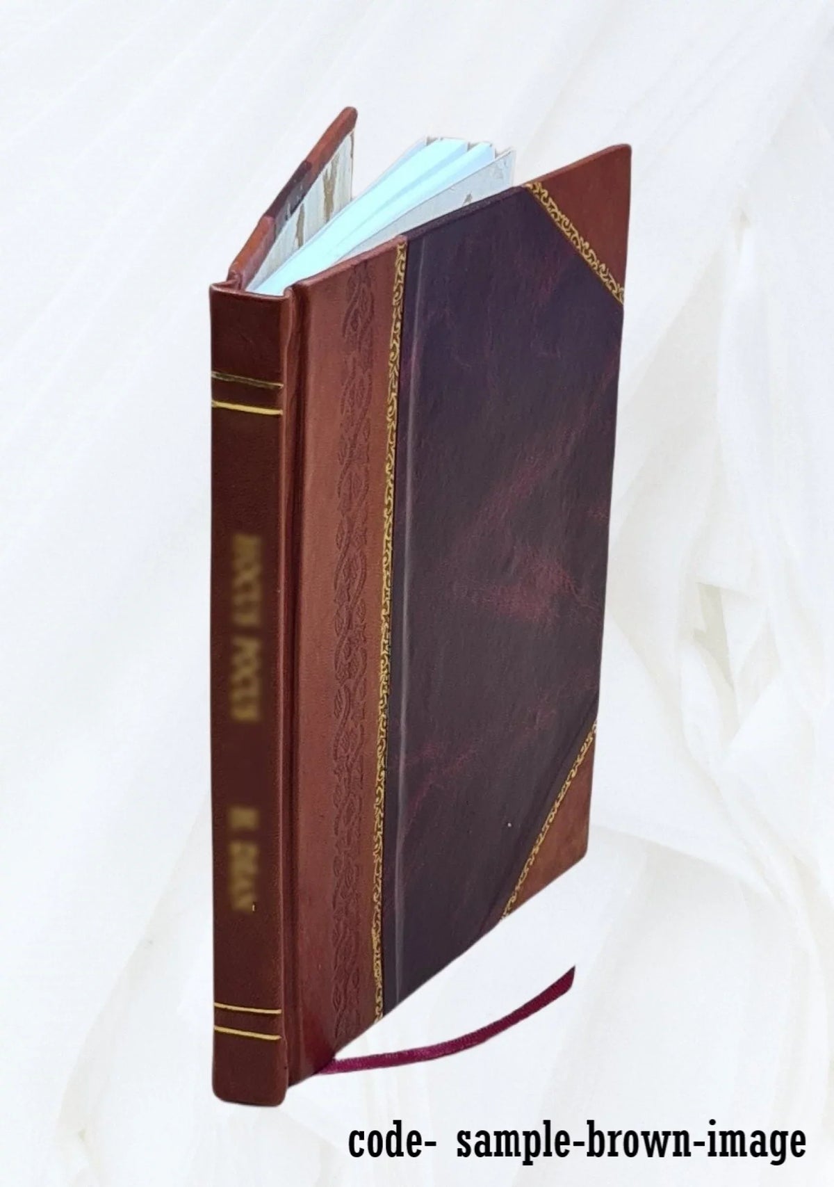 Pigeon River County state forest, potential hydrocarbon development : environmental impact statement. Volume D 1975 [Leather Bound]