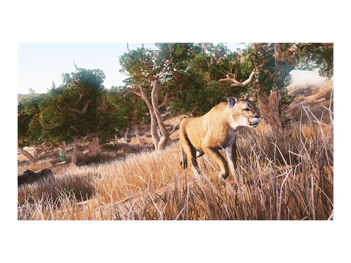 XB1 Hunting Simulator 2 - Hunting Simulator 2 for Xbox One - Xbox One