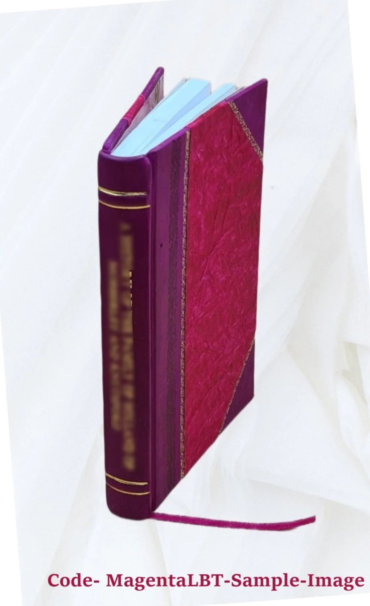 Pigeon River County state forest, potential hydrocarbon development : environmental impact statement. Volume D 1975 [Leather Bound]