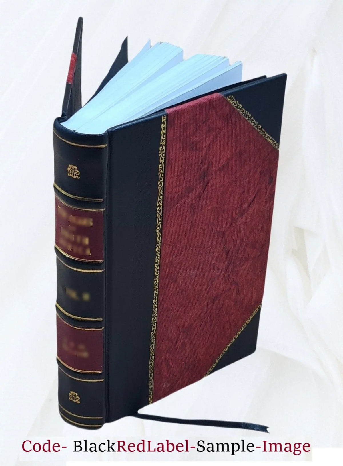FSI - Igbo Basic Course - Student Text [Leather Bound]