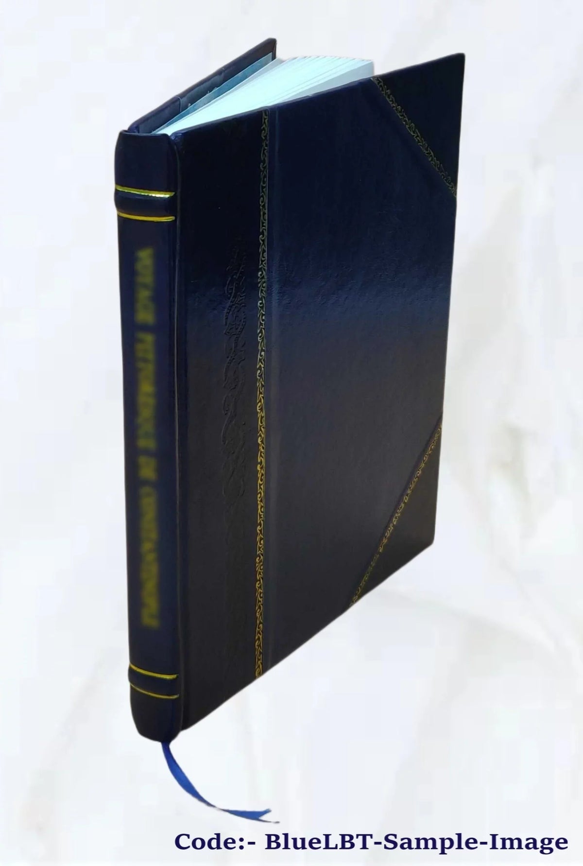 Pigeon River County state forest, potential hydrocarbon development : environmental impact statement. Volume D 1975 [Leather Bound]