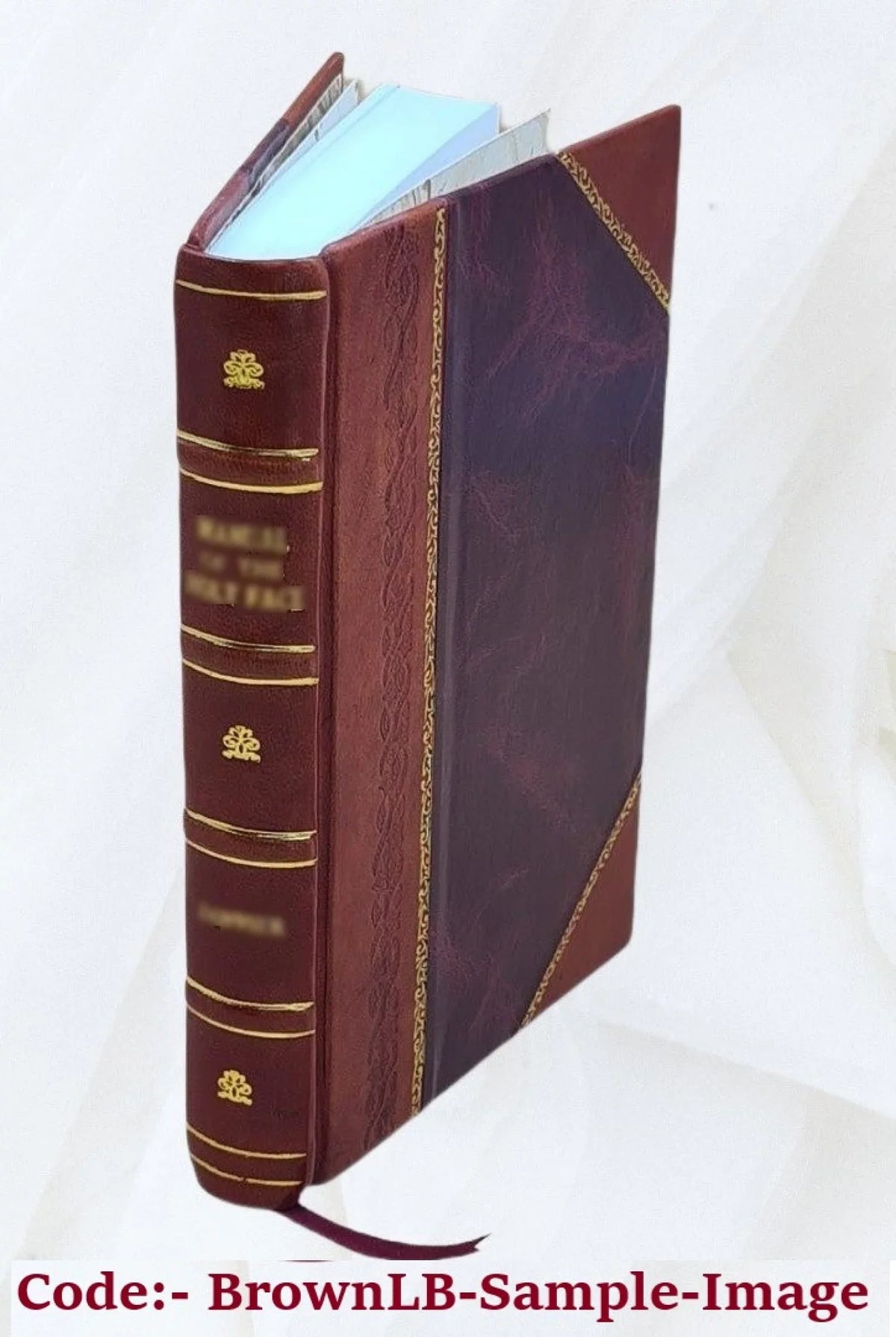 FSI - Igbo Basic Course - Student Text [Leather Bound]